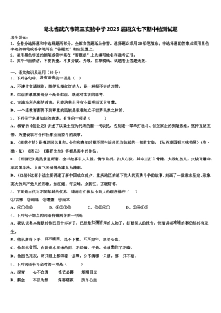 湖北省武穴市第三实验中学2025届语文七下期中检测试题含解析