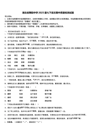 湖北省舞阳中学2025届七下语文期中质量检测试题含解析