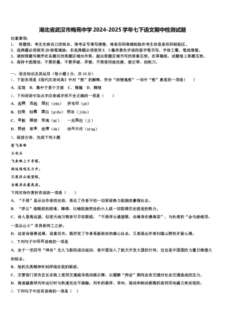 湖北省武汉市梅苑中学2024-2025学年七下语文期中检测试题含解析