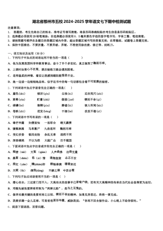 湖北省鄂州市五校2024-2025学年语文七下期中检测试题含解析