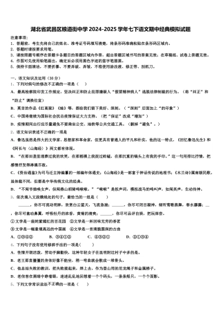湖北省武昌区粮道街中学2024-2025学年七下语文期中经典模拟试题含解析