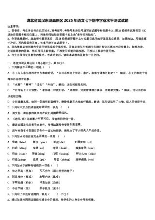 湖北省武汉东湖高新区2025年语文七下期中学业水平测试试题含解析