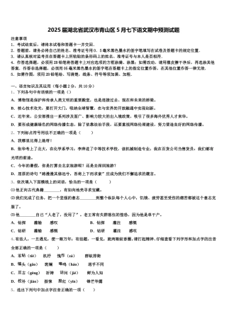 2025届湖北省武汉市青山区5月七下语文期中预测试题含解析