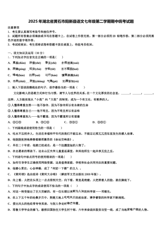 2025年湖北省黄石市阳新县语文七年级第二学期期中统考试题含解析