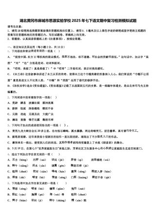 湖北黄冈市麻城市思源实验学校2025年七下语文期中复习检测模拟试题含解析