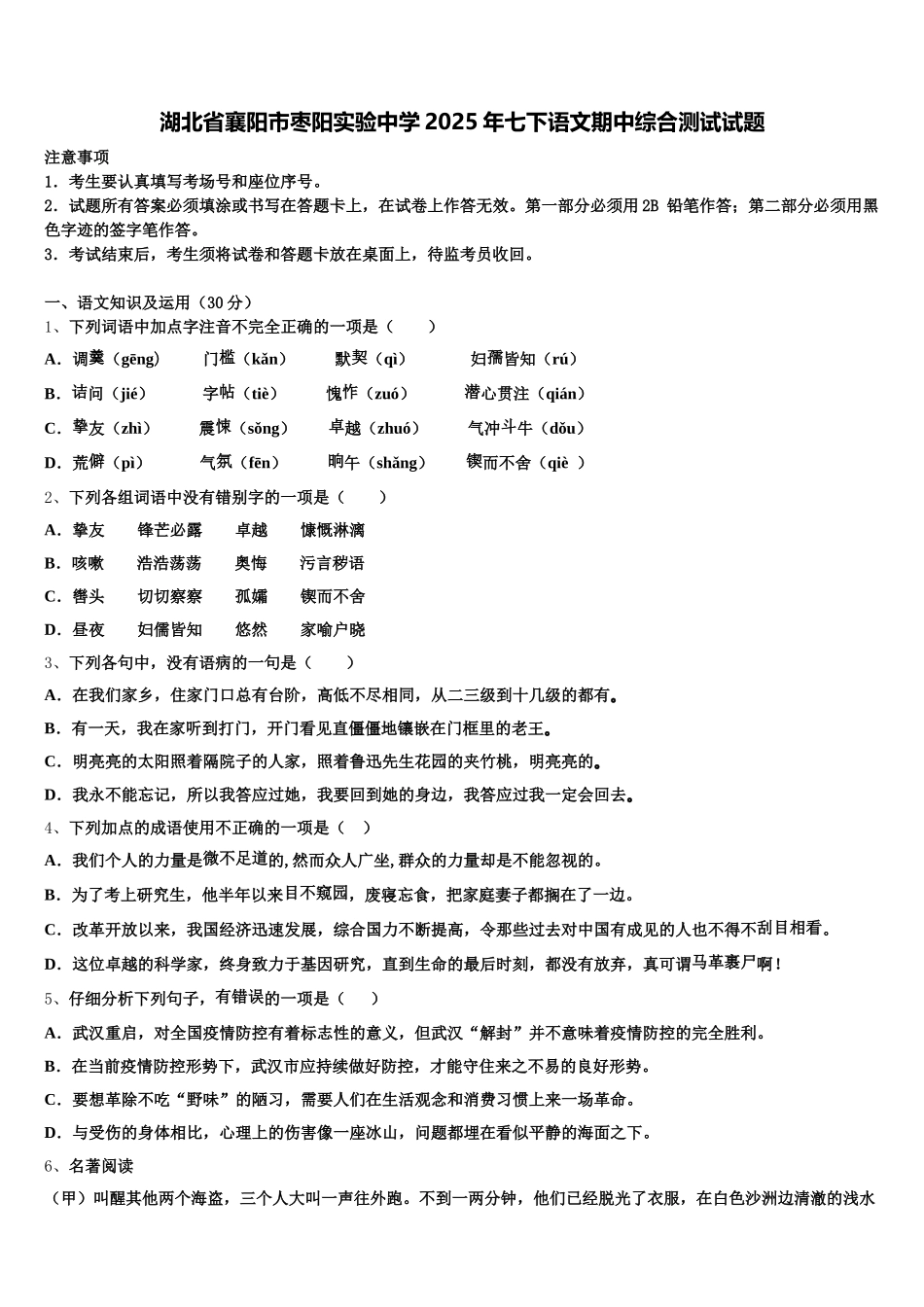 湖北省襄阳市枣阳实验中学2025年七下语文期中综合测试试题含解析_第1页