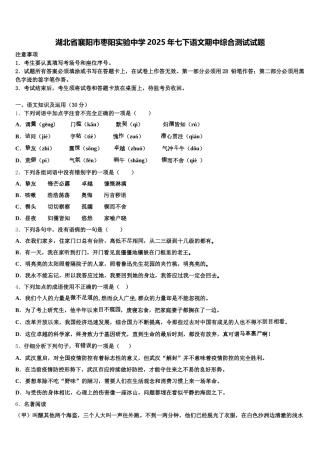 湖北省襄阳市枣阳实验中学2025年七下语文期中综合测试试题含解析