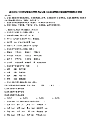 湖北省天门市多宝镇第二中学2025年七年级语文第二学期期中质量检测试题含解析