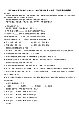 湖北省麻城思源实验学校2024-2025学年语文七年级第二学期期中经典试题含解析