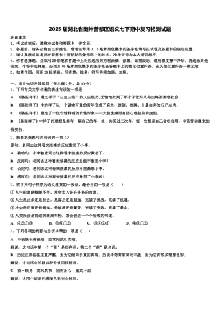 2025届湖北省随州曾都区语文七下期中复习检测试题含解析