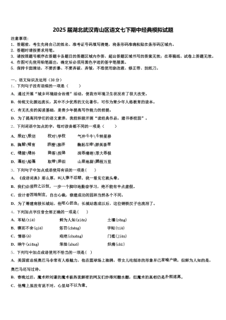 2025届湖北武汉青山区语文七下期中经典模拟试题含解析