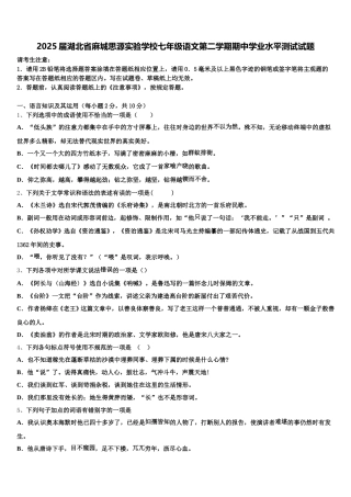2025届湖北省麻城思源实验学校七年级语文第二学期期中学业水平测试试题含解析