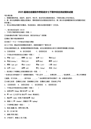 2025届湖北省襄阳市枣阳语文七下期中综合测试模拟试题含解析