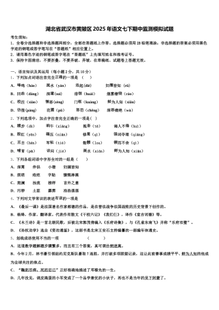 湖北省武汉市黄陂区2025年语文七下期中监测模拟试题含解析