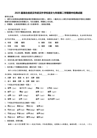 2025届湖北省武汉市武汉外学校语文七年级第二学期期中经典试题含解析