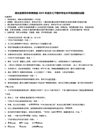 湖北省黄冈市季黄梅县2025年语文七下期中学业水平测试模拟试题含解析