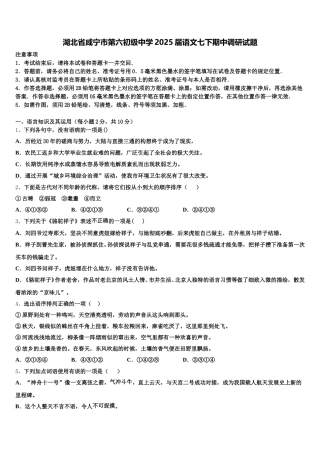 湖北省咸宁市第六初级中学2025届语文七下期中调研试题含解析