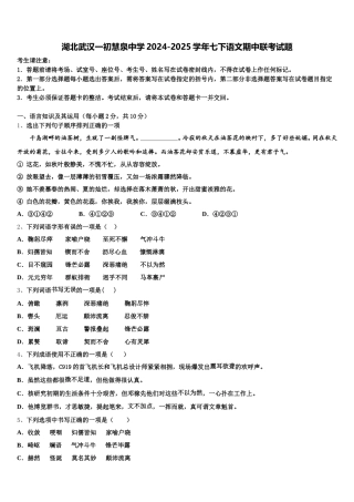 湖北武汉一初慧泉中学2024-2025学年七下语文期中联考试题含解析