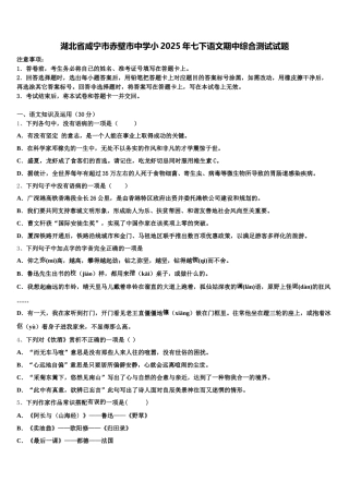 湖北省咸宁市赤壁市中学小2025年七下语文期中综合测试试题含解析