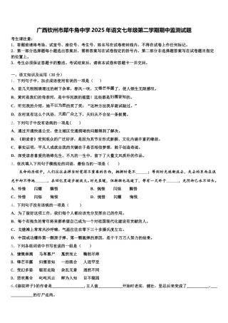 广西钦州市犀牛角中学2025年语文七年级第二学期期中监测试题含解析