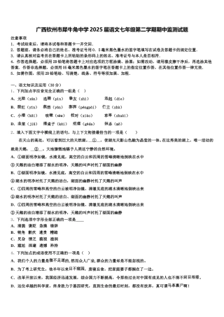 广西钦州市犀牛角中学2025届语文七年级第二学期期中监测试题含解析