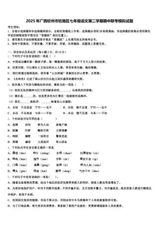 2025年广西钦州市钦南区七年级语文第二学期期中联考模拟试题含解析