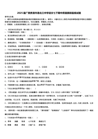 2025届广西贵港市港北三中学语文七下期中质量跟踪监视试题含解析