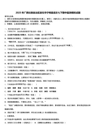 2025年广西壮族自治区崇左市宁明县语文七下期中监测模拟试题含解析
