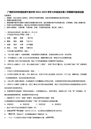 广西钦州市钦南区犀牛角中学2024-2025学年七年级语文第二学期期中监测试题含解析