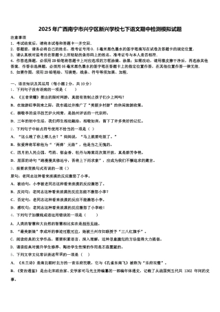 2025年广西南宁市兴宁区新兴学校七下语文期中检测模拟试题含解析