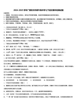 2024-2025学年广西钦州市犀牛角中学七下语文期中经典试题含解析