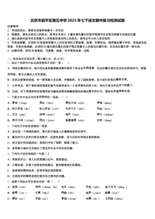 北京市昌平区第五中学2025年七下语文期中复习检测试题含解析