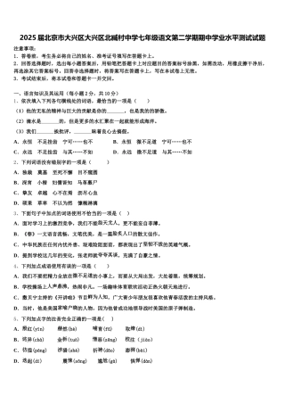 2025届北京市大兴区大兴区北臧村中学七年级语文第二学期期中学业水平测试试题含解析