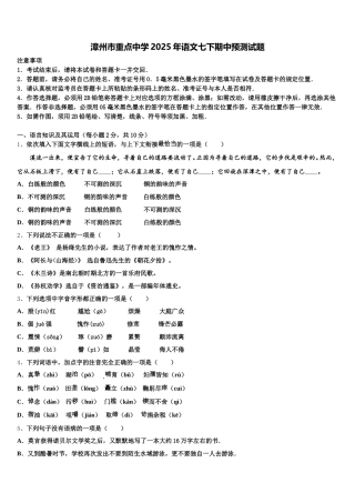 漳州市重点中学2025年语文七下期中预测试题含解析