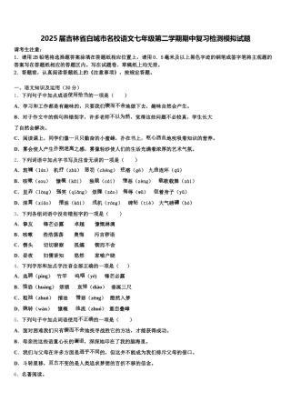 2025届吉林省白城市名校语文七年级第二学期期中复习检测模拟试题含解析