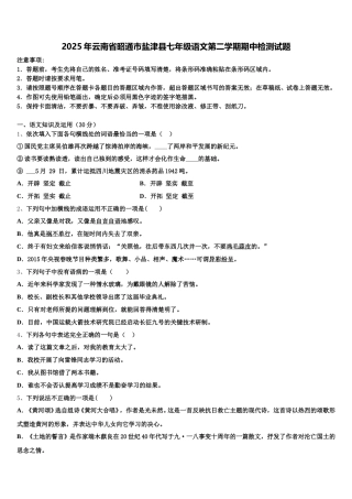 2025年云南省昭通市盐津县七年级语文第二学期期中检测试题含解析