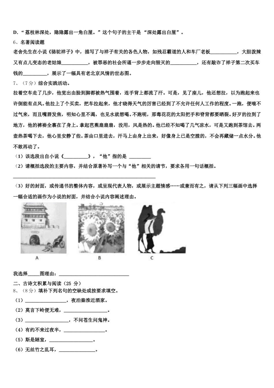 云南省普洱市名校2024-2025学年语文七年级第二学期期中检测试题含解析_第2页
