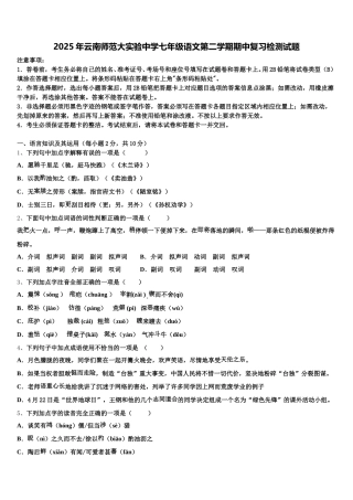 2025年云南师范大实验中学七年级语文第二学期期中复习检测试题含解析