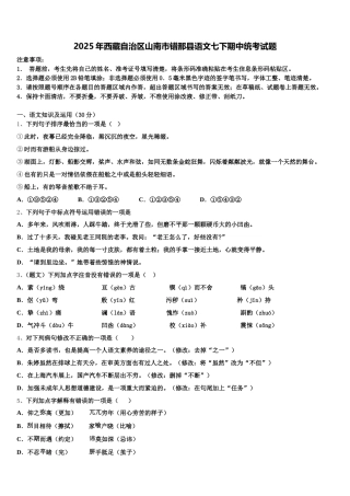 2025年西藏自治区山南市错那县语文七下期中统考试题含解析