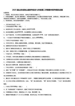 2025届山东省微山县联考语文七年级第二学期期中联考模拟试题含解析