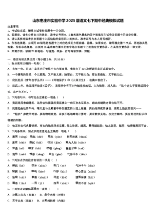 山东枣庄市实验中学2025届语文七下期中经典模拟试题含解析