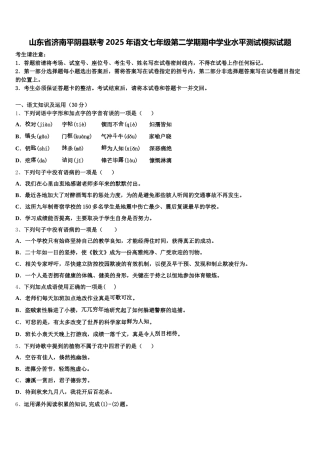 山东省济南平阴县联考2025年语文七年级第二学期期中学业水平测试模拟试题含解析