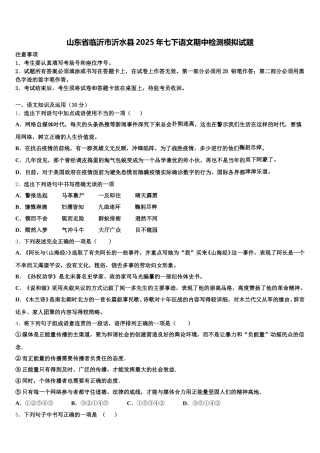 山东省临沂市沂水县2025年七下语文期中检测模拟试题含解析