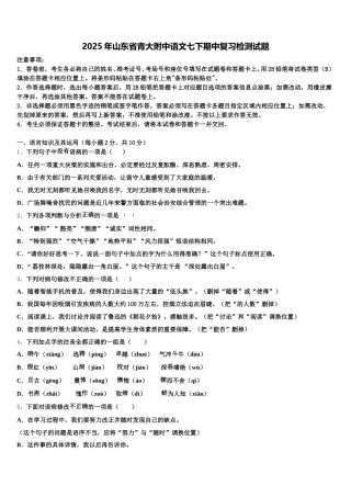 2025年山东省青大附中语文七下期中复习检测试题含解析