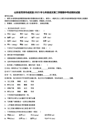 山东省菏泽市成武县2025年七年级语文第二学期期中考试模拟试题含解析