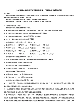 2025届山东省临沂市沂南县语文七下期中复习检测试题含解析