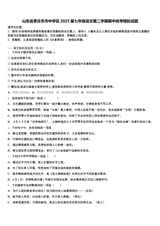 山东省枣庄市市中学区2025届七年级语文第二学期期中统考模拟试题含解析