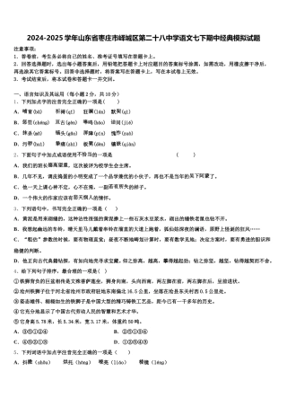 2024-2025学年山东省枣庄市峄城区第二十八中学语文七下期中经典模拟试题含解析