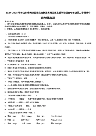 2024-2025学年山东省无棣县鲁北高新技术开发区实验学校语文七年级第二学期期中经典模拟试题含解析