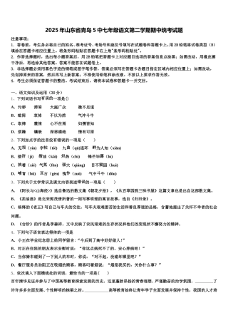2025年山东省青岛5中七年级语文第二学期期中统考试题含解析